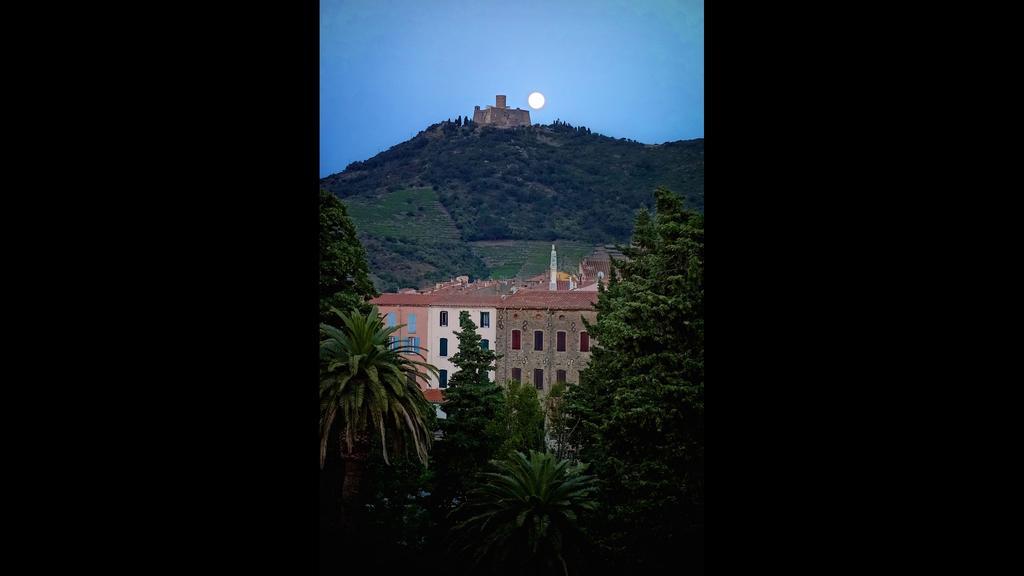 Ferienwohnung Les Jasmins Collioure Exterior foto
